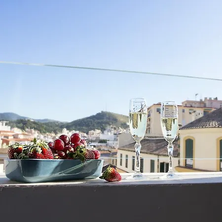 Picasso's Birthplace Views Apartment